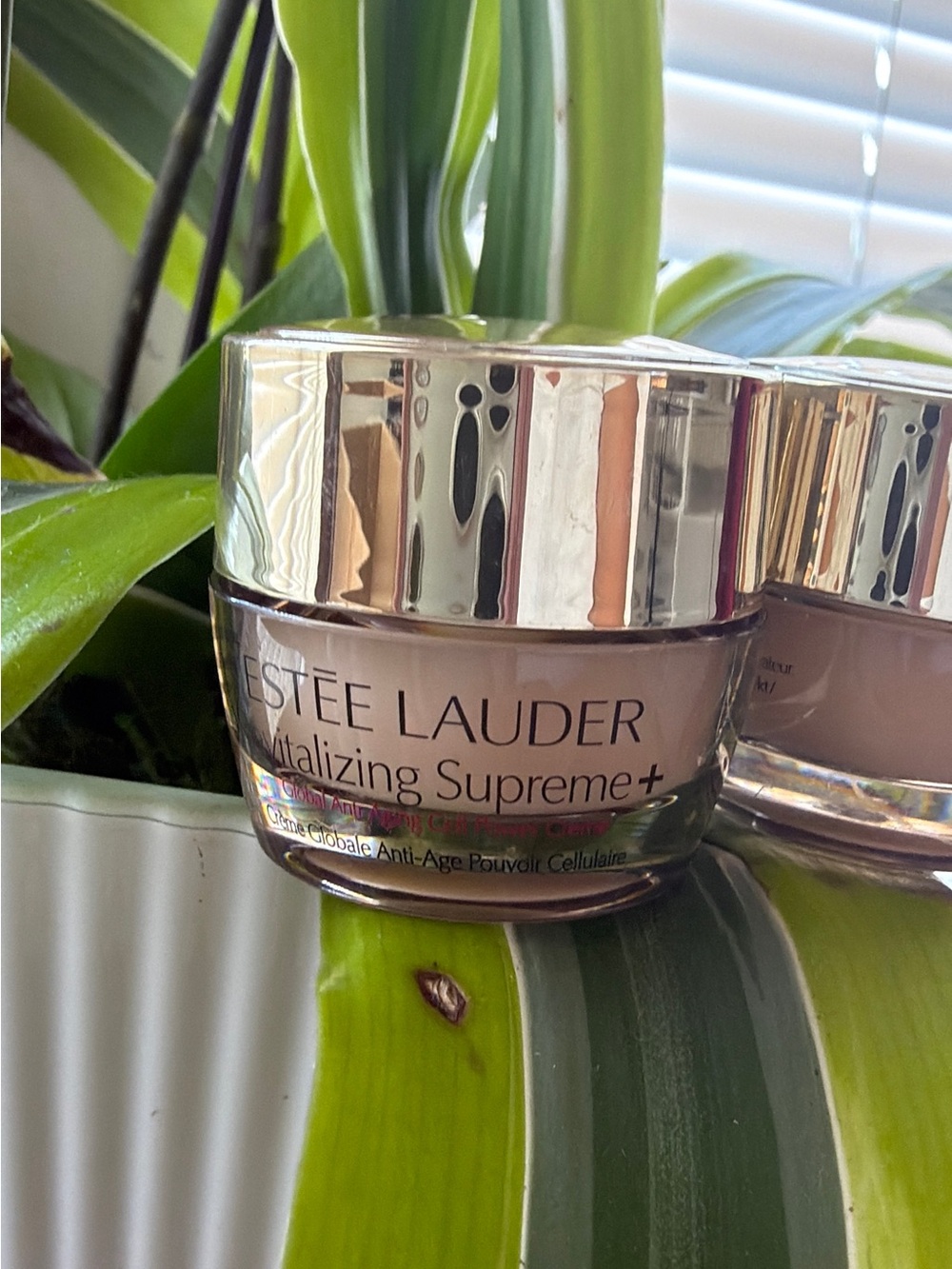 BUNDLE of 2 , Estee Lauder Small Glass Face Cream Jars with Shiny Gold Lids - Picture 6 of 6